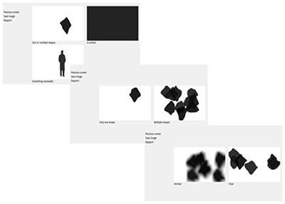 Frontiers The Strasbourg Visual Scale A Novel Method to Assess